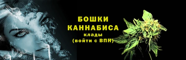 стаф Медвежьегорск